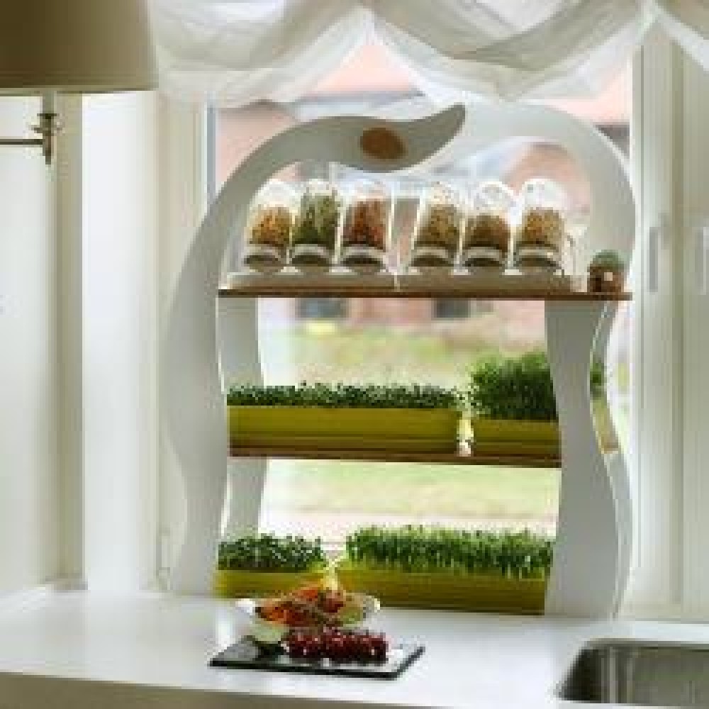 Wheatgrass