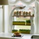Wheatgrass