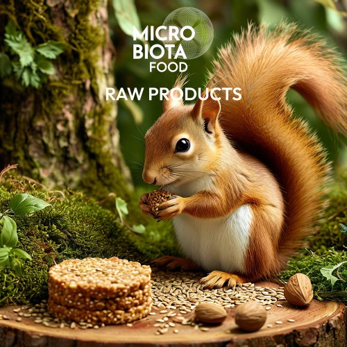 RAW ПРОДУКТЫ · MICROBIOTA FOOD